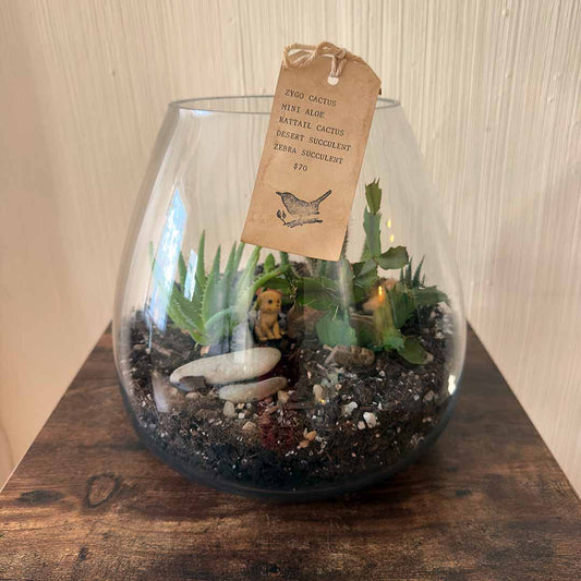 Let's create Terrarium